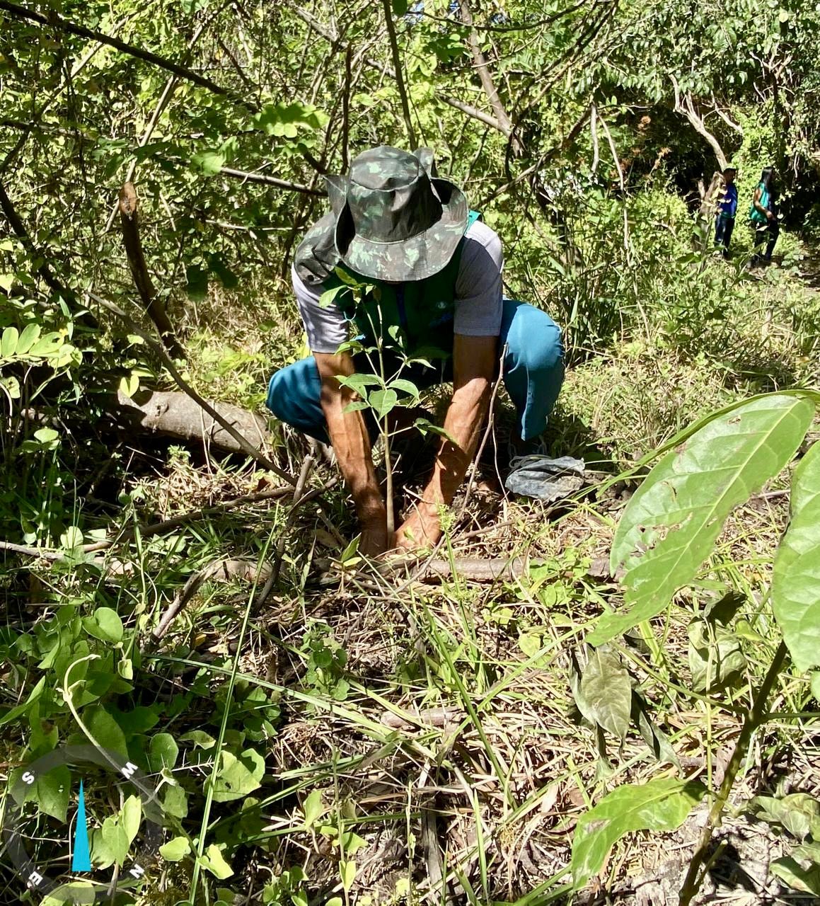 Nascentes de Caraíbas II recebem ação de preservação do Meio Ambiente