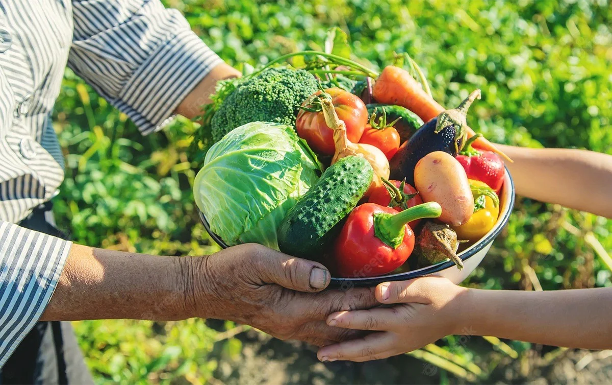 Edital em Batalha prevê compra direta da agricultura familiar para escolas