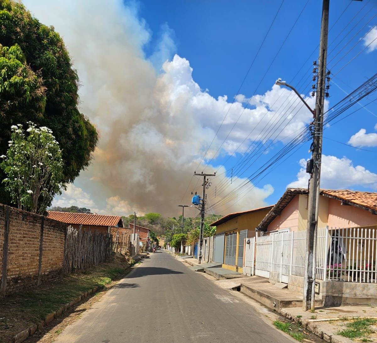 Incêndio atinge área de vegetação próxima ao hospital de Batalha neste sábado