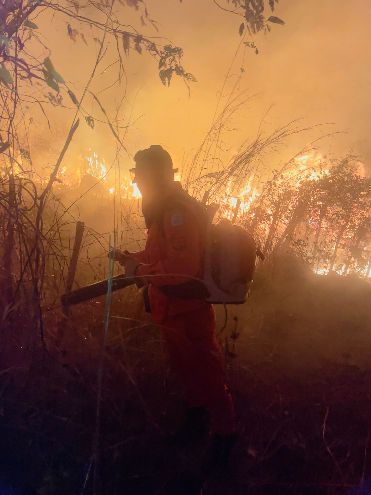 Incêndio em vegetação volta durante a madrugada em Batalha e é controlado ao amanhecer