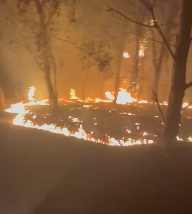 Batalha registra novos focos de incêndio em vegetação na zona urbana e rural
