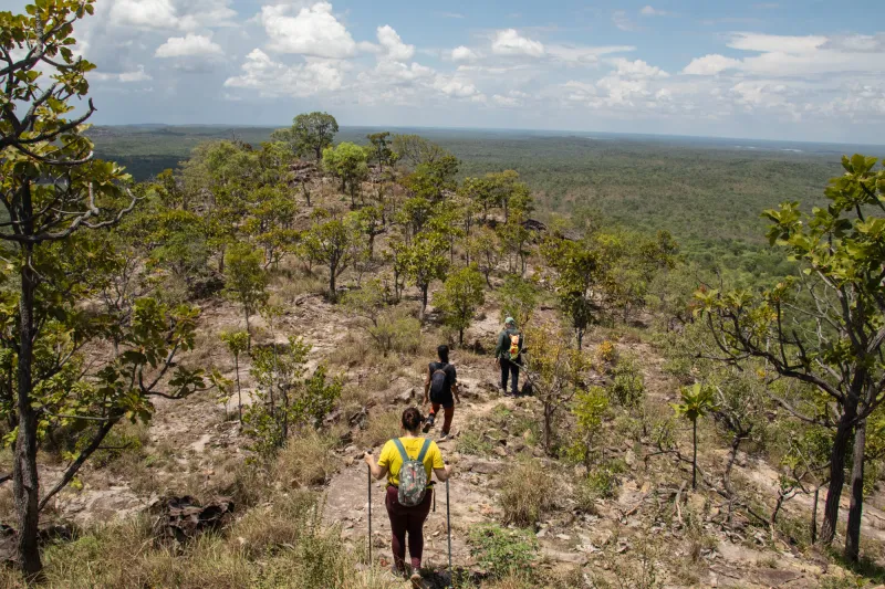 Sítio arqueológico com gravuras rupestres é descoberto no Piauí