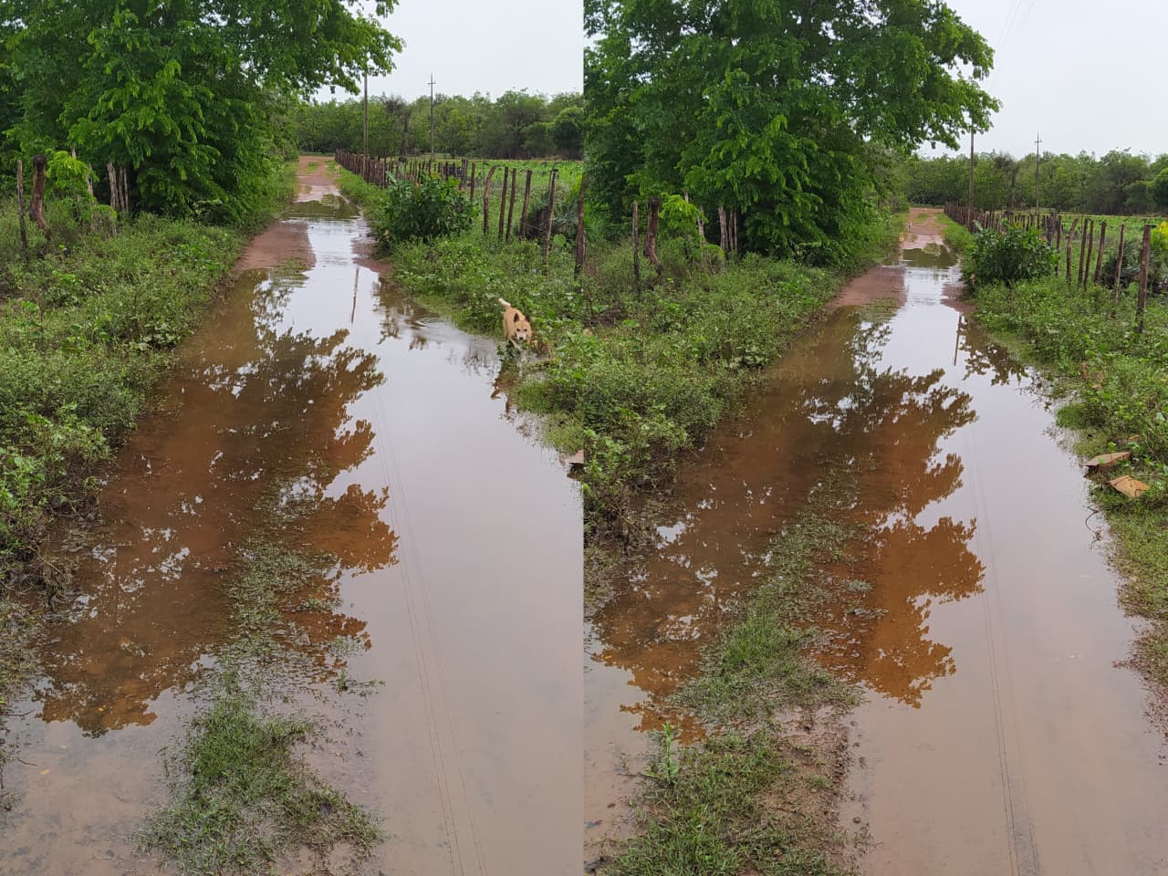Trecho com lama dificulta rotina de famílias na localidade Jacaré