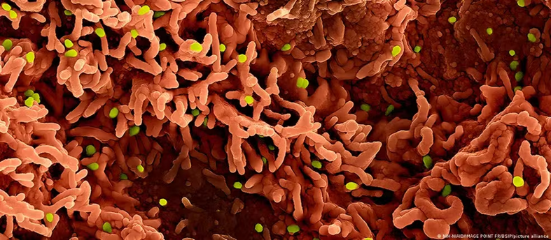 Três vírus preocupam especialistas e entram no radar para 2026