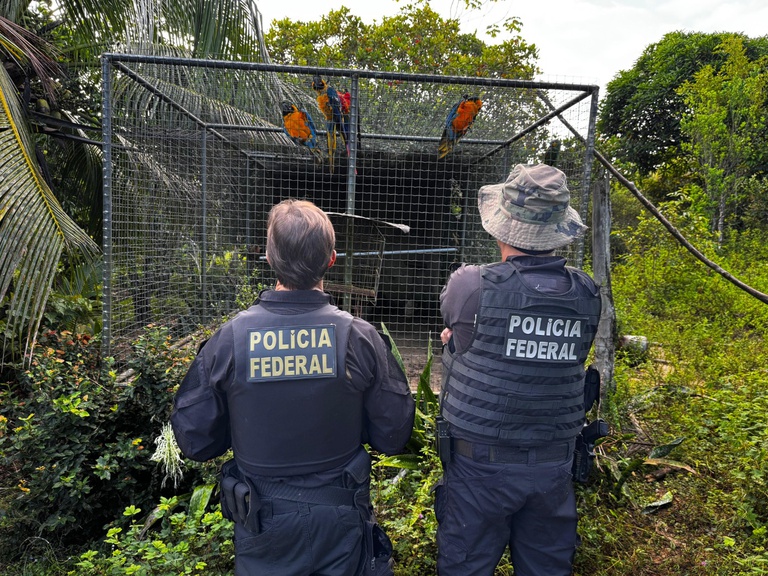 PF cumpre mandados no Piauí em operação contra tráfico de animais